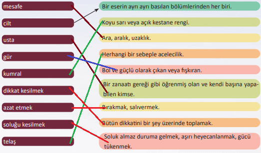 6. Sınıf Türkçe Ders Kitabı Cevapları Sayfa 120 MEB Yayınları (Gümüş Kanat Metni)