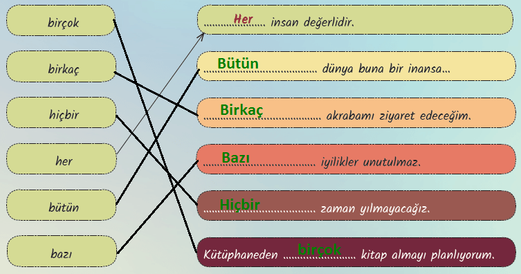 6. Sınıf Türkçe Ders Kitabı Cevapları Sayfa 128 MEB Yayınları (Balıkçıl Metni)