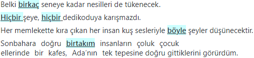 6. Sınıf Türkçe Ders Kitabı Cevapları Sayfa 144 ATA Yayınları (Son Kuşlar Metni)