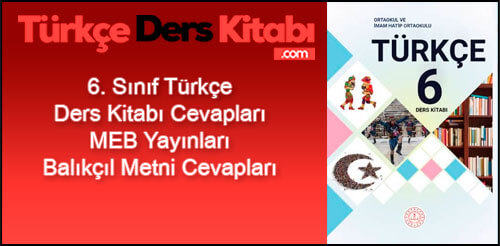 Balıkçıl-Metni-Cevapları-(6.-Sınıf-Türkçe)