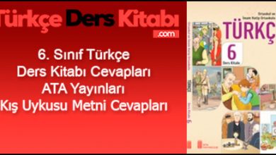İhtiyar-Çilingir-Metni-Cevapları-(6.-Sınıf-Türkçe)