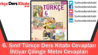 İhtiyar Çilingir Metni Cevapları (6. Sınıf Türkçe ATA)