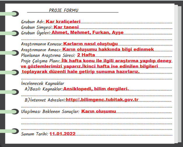 6. Sınıf Türkçe Ders Kitabı Cevapları Sayfa 162 MEB Yayınları(Kar Kristallerinin Peşinde Bir Yaşam)