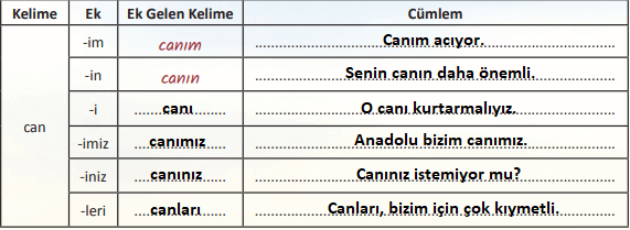 6. Sınıf Türkçe Ders Kitabı Cevapları Sayfa 179 MEB Yayınları (Anadolu)2