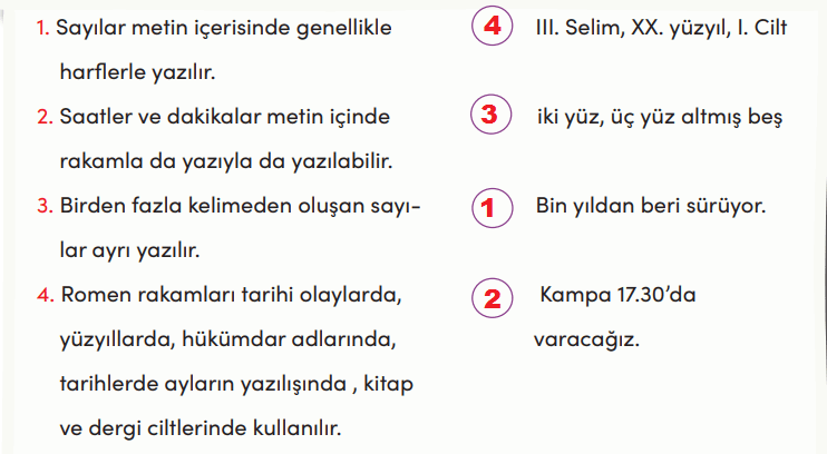 4. Sınıf Türkçe Ders Kitabı Cevapları Sayfa 156 MEB Yayınları (Evini Arayan Ardıç Tohumu)