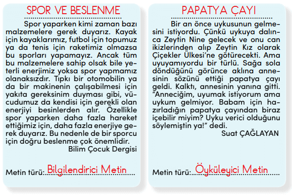4. Sınıf Türkçe Ders Kitabı Cevapları Sayfa 217 MEB Yayınları (Şifa Niyetine) 
