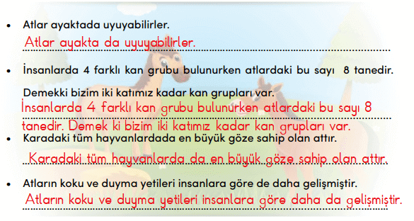 4. Sınıf Türkçe Ders Kitabı Cevapları Sayfa 217 MEB Yayınları (Şifa Niyetine) 2