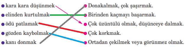 5. Sınıf Türkçe Ders Kitabı Cevapları Sayfa 139 Anıttepe Yayınları (Çocuk Bahçesindeki Bekçi Metni)