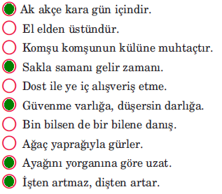 5. Sınıf Türkçe Ders Kitabı Cevapları Sayfa 145 Anıttepe Yayınları (Çocuk Bahçesindeki Bekçi Metni)