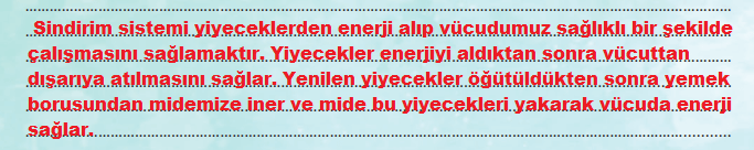 6. Sınıf Türkçe Ders Kitabı Cevapları Sayfa 216 MEB Yayınları (Yemek, İçmek ve Sindirmek )