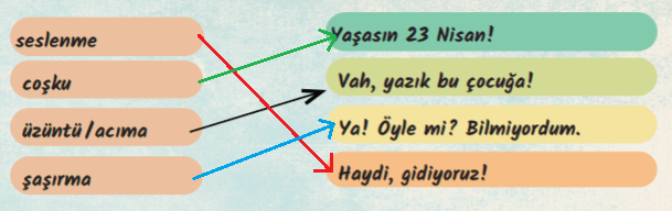 6. Sınıf Türkçe Ders Kitabı Cevapları Sayfa 249 MEB Yayınları (Evet Efendim)