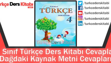 Dağdaki Kaynak Metni Cevapları (4. Sınıf Türkçe MEB)