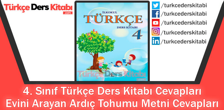 Evini Arayan Ardıç Tohumu Metni Cevapları (4. Sınıf Türkçe MEB)