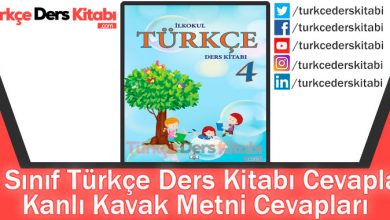 Kanlı Kavak Metni Cevapları (4. Sınıf Türkçe MEB)