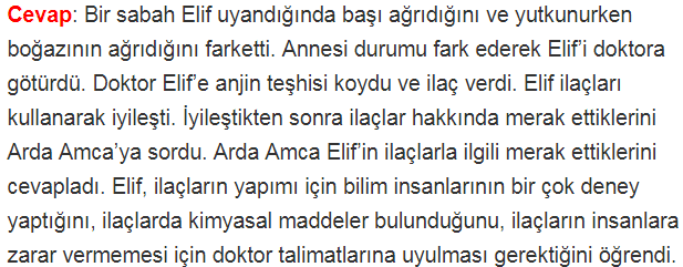 4. Sınıf Türkçe Ders Kitabı Cevapları Sayfa 221 MEB Yayınları