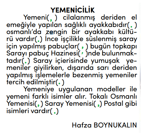 4. Sınıf Türkçe Ders Kitabı Cevapları Sayfa 242 MEB Yayınları