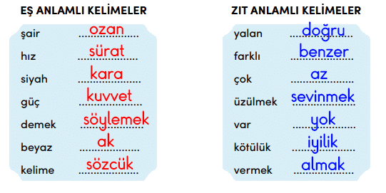 4. Sınıf Türkçe Ders Kitabı Cevapları Sayfa 249 MEB Yayınları