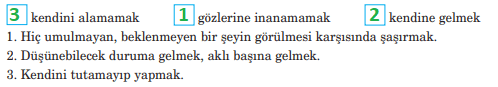 5. Sınıf Türkçe Ders Kitabı Cevapları Sayfa 183 Anıttepe Yayınları (Tavşan ile Kaplumbağa Metni)