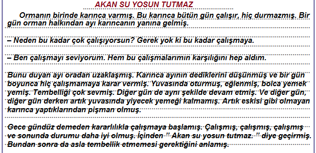 5. Sınıf Türkçe Ders Kitabı Cevapları Sayfa 185-186 Anıttepe Yayınları (Tavşan ile Kaplumbağa Metni)