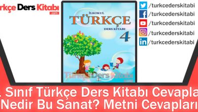 Nedir Bu Sanat Metni Cevapları