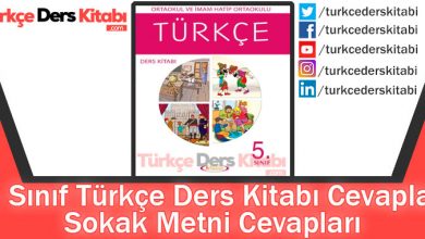 Sokak Metni Cevapları (5. Sınıf Türkçe Anıttepe)