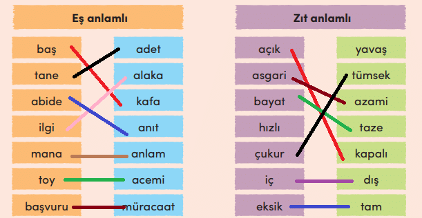 3. Sınıf Türkçe Ders Kitabı Cevapları Sayfa 233 MEB Yayınları (7. Tema Değerlendirme Çalışması)