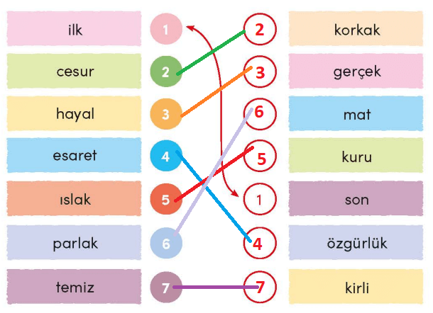 3. Sınıf Türkçe Ders Kitabı Cevapları Sayfa 241 MEB Yayınları (Yemek Seçimi)01