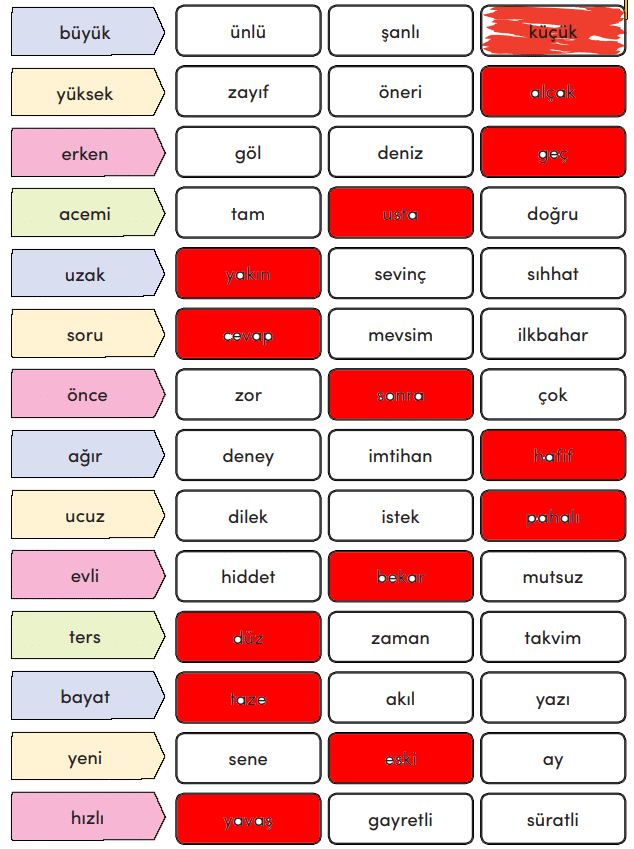 3. Sınıf Türkçe Ders Kitabı Cevapları Sayfa 253 MEB Yayınları (İzcilik)