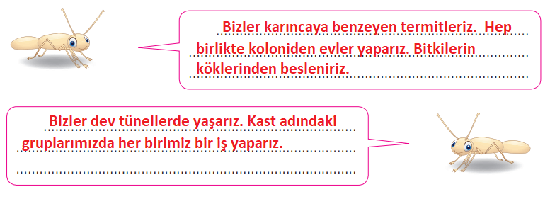 4. Sınıf Türkçe Ders Kitabı Cevapları Sayfa 160 Özgün Yayınları (Termit Kolonisi Metni)