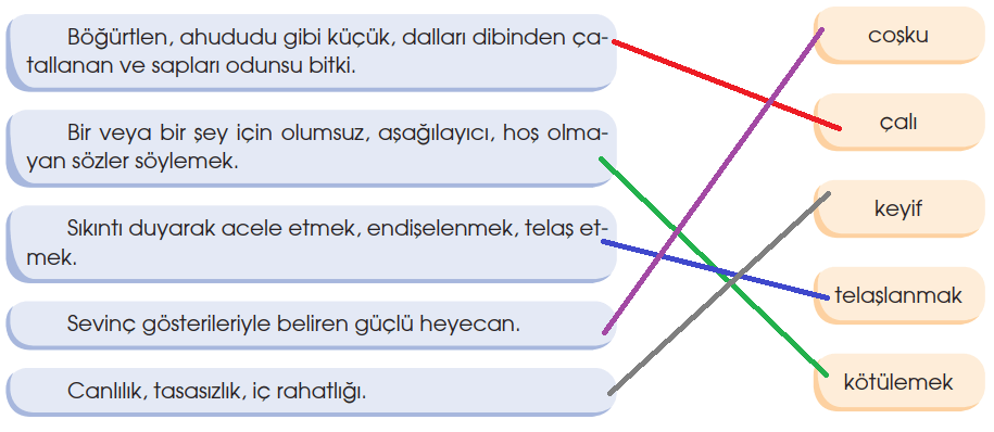 4. Sınıf Türkçe Ders Kitabı Cevapları Sayfa 163 Özgün Yayınları (Kim Korkar Kırmızı Başlıklı Kızdan Metni)