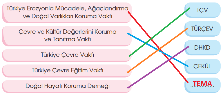 4. Sınıf Türkçe Ders Kitabı Cevapları Sayfa 166 Özgün Yayınları (Kim Korkar Kırmızı Başlıklı Kızdan Metni)