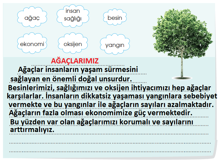 4. Sınıf Türkçe Ders Kitabı Cevapları Sayfa 172 Özgün Yayınları (Sakız Ağacı)
