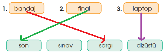 4. Sınıf Türkçe Ders Kitabı Cevapları Sayfa 204 Özgün Yayınları (7. Tema Değerlendirme Çalışmaları)