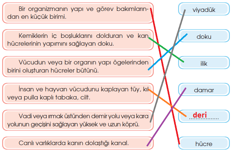 4. Sınıf Türkçe Ders Kitabı Cevapları Sayfa 217 Özgün Yayınları (Bütün Yollar Kalbe Çıkar)