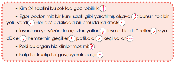 4. Sınıf Türkçe Ders Kitabı Cevapları Sayfa 220 Özgün Yayınları (Bütün Yollar Kalbe Çıkar)