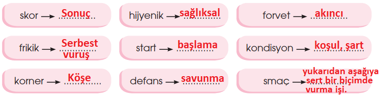 4. Sınıf Türkçe Ders Kitabı Cevapları Sayfa 226 Özgün Yayınları (Haydi Spora)