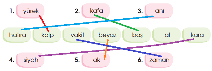 4. Sınıf Türkçe Ders Kitabı Cevapları Sayfa 234 Özgün Yayınları (8. Tema Değerlendirme Çalışmaları)