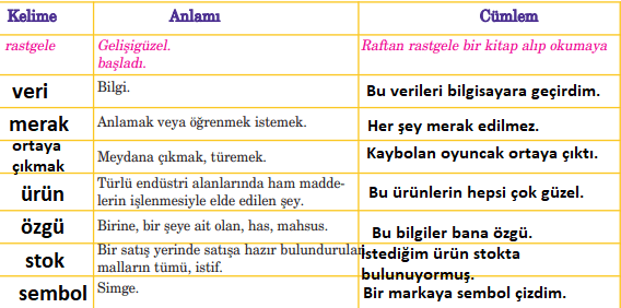 5. Sınıf Türkçe Ders Kitabı Cevapları Sayfa 221 Anıttepe Yayınları (Barkod)