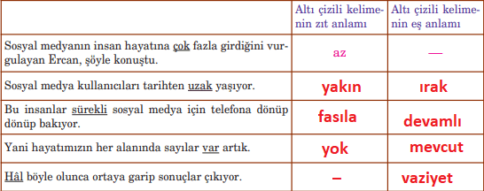 5. Sınıf Türkçe Ders Kitabı Cevapları Sayfa 226 Anıttepe Yayınları (Sosyal Medya Psikolojinizi Etkiliyor)1