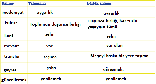 5. Sınıf Türkçe Ders Kitabı Cevapları Sayfa 233 Anıttepe Yayınları (Akıllı Ulaşım Sistemleri)