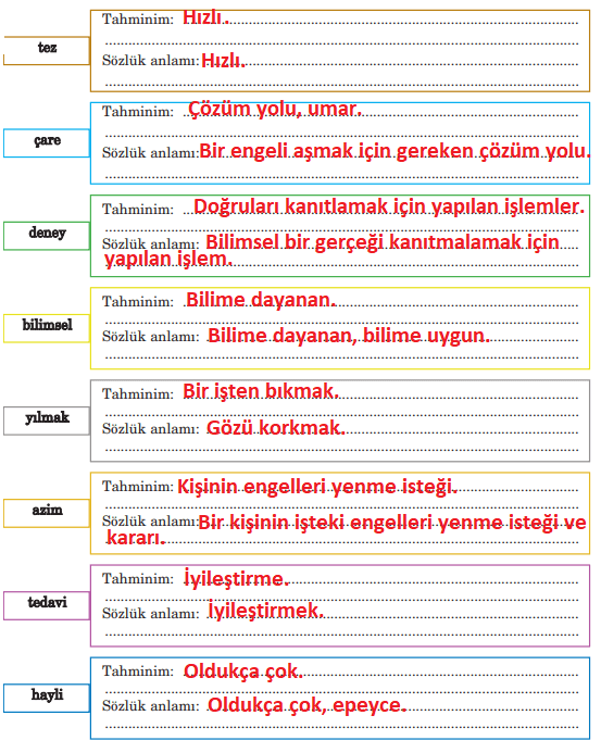 5. Sınıf Türkçe Ders Kitabı Cevapları Sayfa 236-237 Anıttepe Yayınları (Aziz Sancar)1