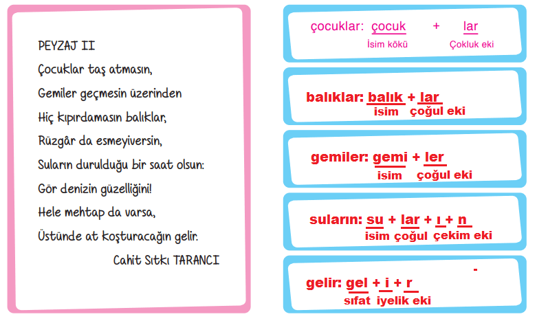 6. Sınıf Türkçe Ders Kitabı Cevapları Sayfa 201 ATA Yayınları (Aziz Sancar)