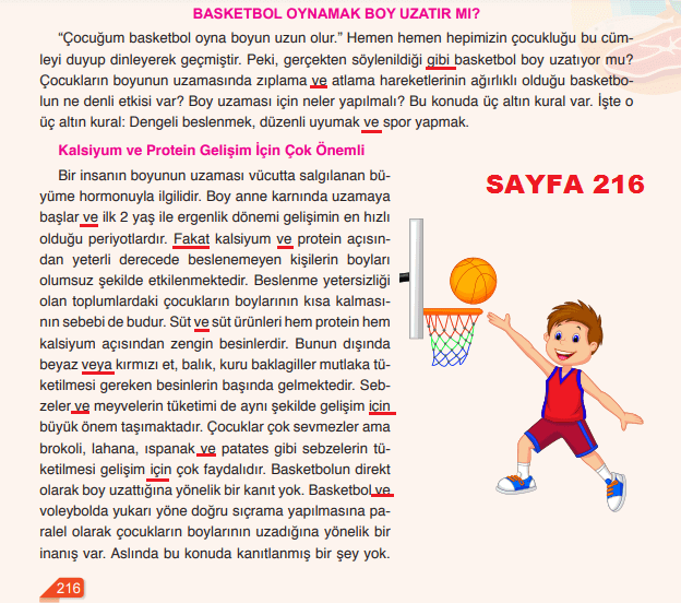 6. Sınıf Türkçe Ders Kitabı Cevapları Sayfa 219 ATA Yayınları (Basketbol Oynamak Boy Uzatır Mı)