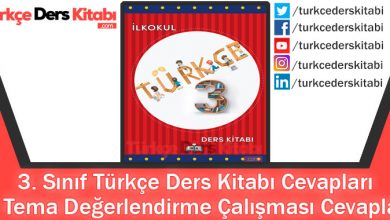 6. Tema Değerlendirme Çalışması Cevapları (3. Sınıf Türkçe MEB)