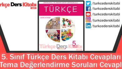 7. Tema Değerlendirme Soruları Cevapları (5. Sınıf Türkçe Anıttepe)
