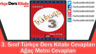 Ağaç Metni Cevapları (3. Sınıf Türkçe MEB)