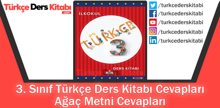 Ağaç Metni Cevapları (3. Sınıf Türkçe MEB)