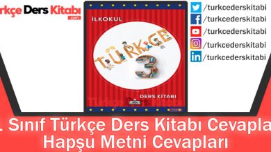 Hapşu Metni Cevapları (3. Sınıf Türkçe MEB)
