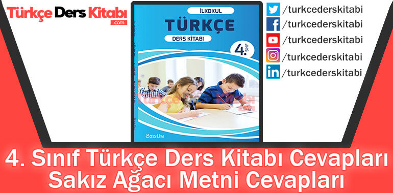 Sakız Ağacı Metni Cevapları (4. Sınıf Türkçe Özgün)