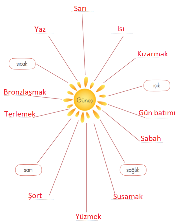 2. Sınıf Türkçe Ders Kitabı Cevapları Sayfa 221 ADA Yayınları (Üç Güneş Metni)